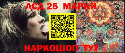 шишки Можга