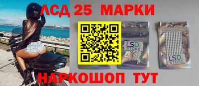 шишки Можга