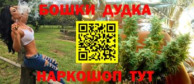 шишки Можга