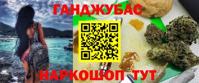 шишки Можга