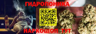 шишки Можга