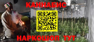 шишки Можга