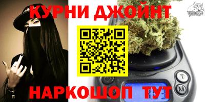шишки Можга