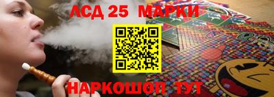 шишки Можга