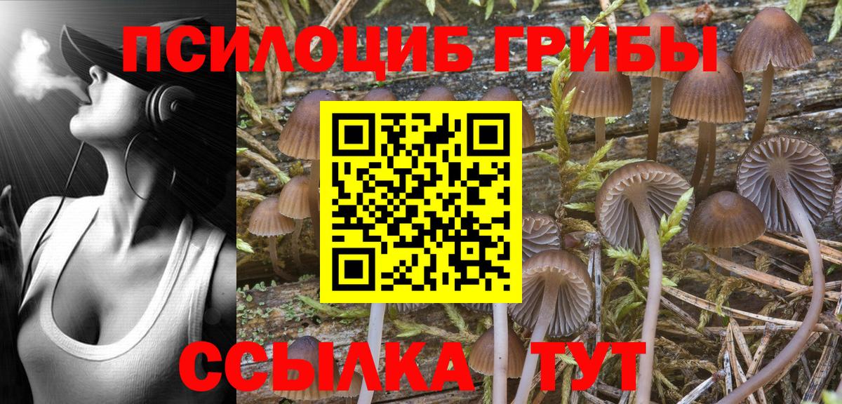 Галлюциногенные грибы ЛСД  Вход с VPN  Псилоцибиновые грибы Psilocybine cubensis  Балашиха 